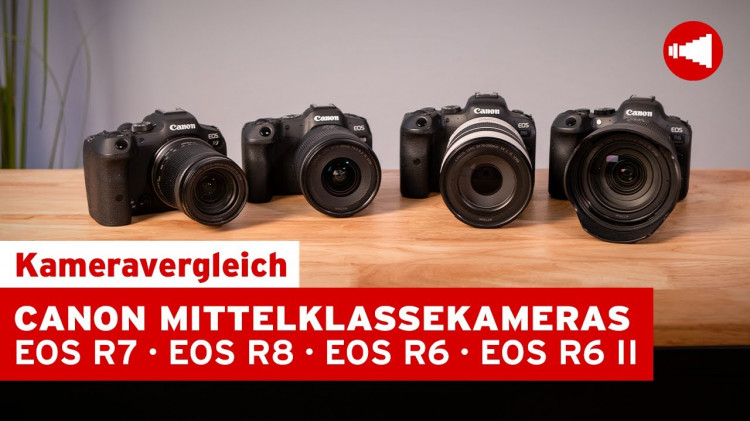 Canon Mittelklassekameras im Vergleich - Expertentalk über die EOS R7, R8, R6 & R6II